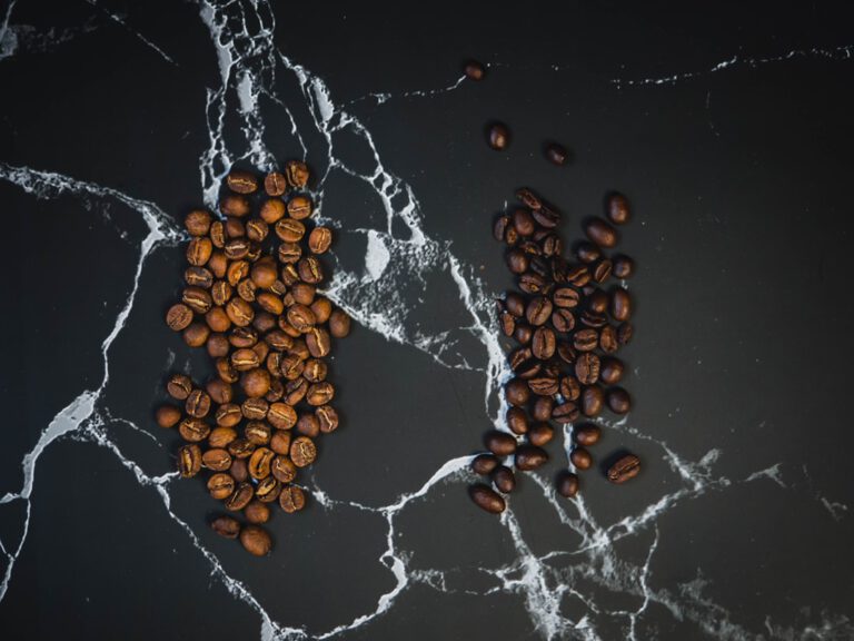 Photo Seed selection