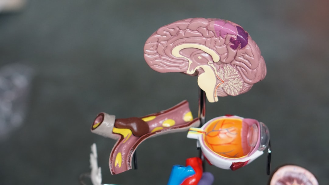 Photo Brain receptors