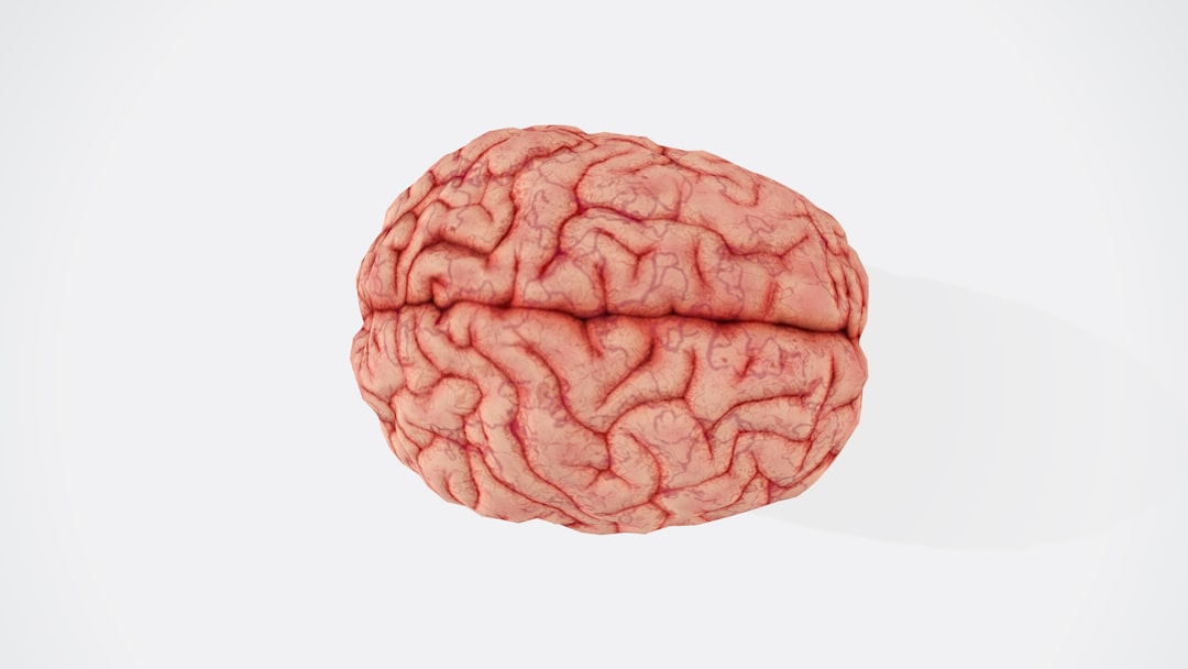 Photo Brain plasticity
