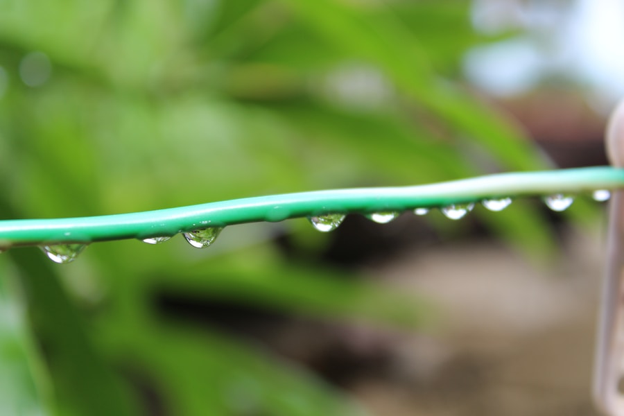 Photo Cannabis irrigation systems