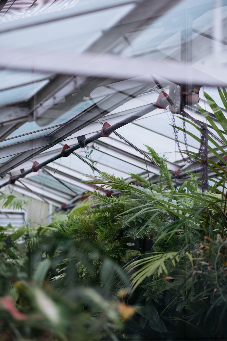 Photo Cannabis cultivation microclimates