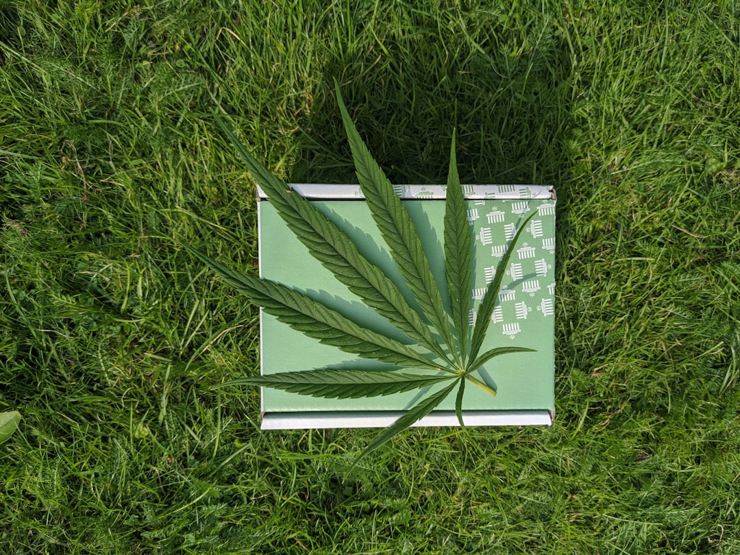 Photo Hemp packaging