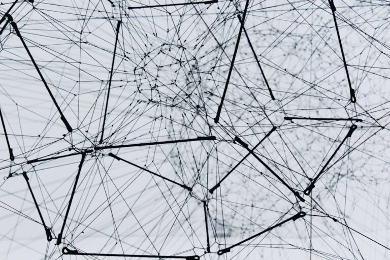 Photo Mycorrhizal network